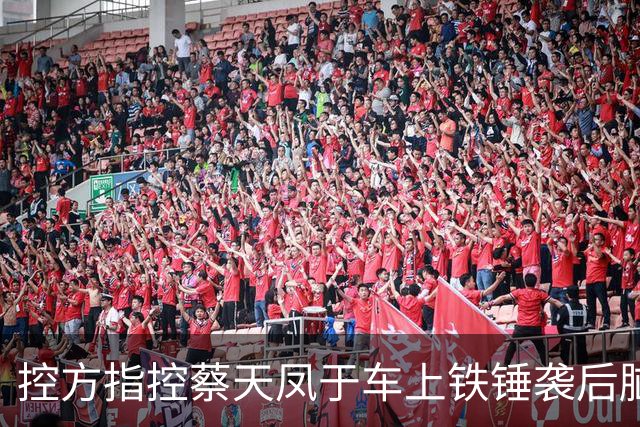 控方指控蔡天凤于车上铁锤袭后脑，锤柄检出DNA 锤头未见人体组织