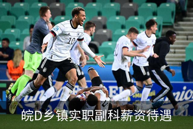 皖D乡镇实职副科薪资待遇